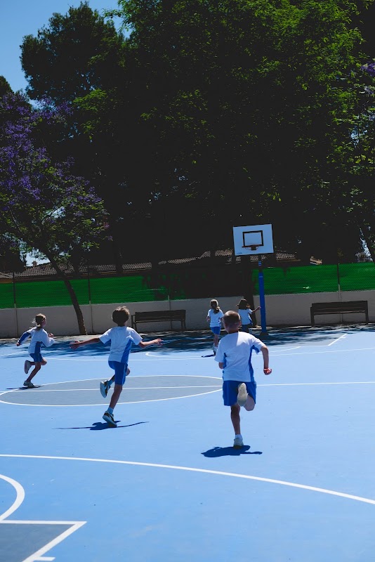 Imagen de Entrenaranjos International School