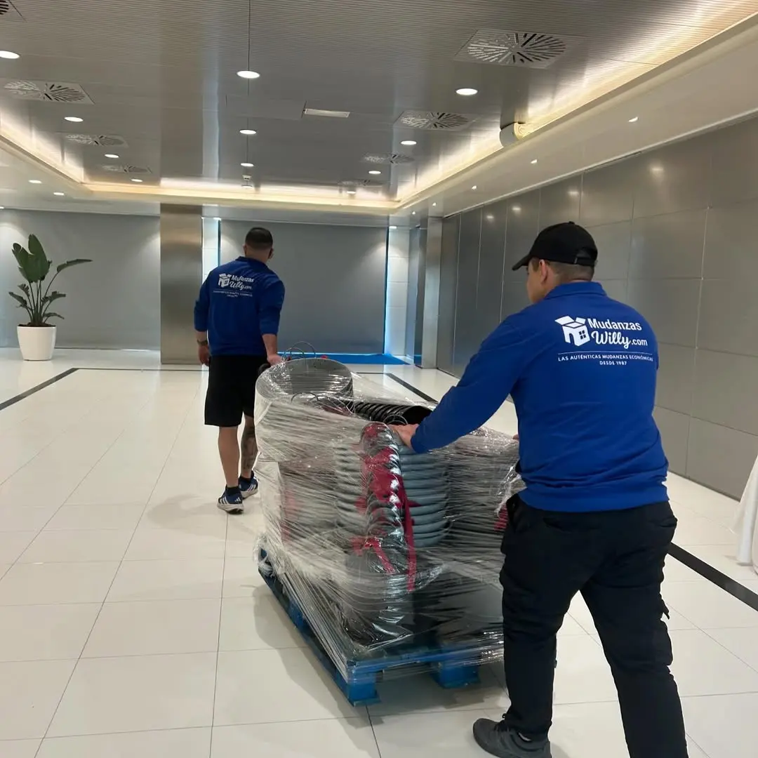Imagen de Mudanzas Willy