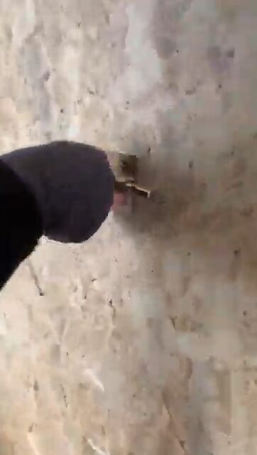 Imagen de Mudanzas Willy