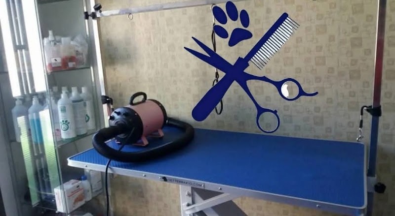 Imagen de La Perrukeria Casasbuenas