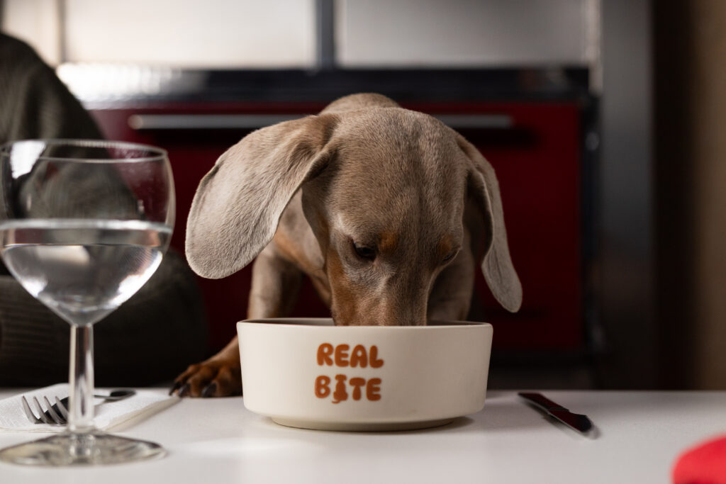 Imagen de Real Bite | Comida BARF Canarias