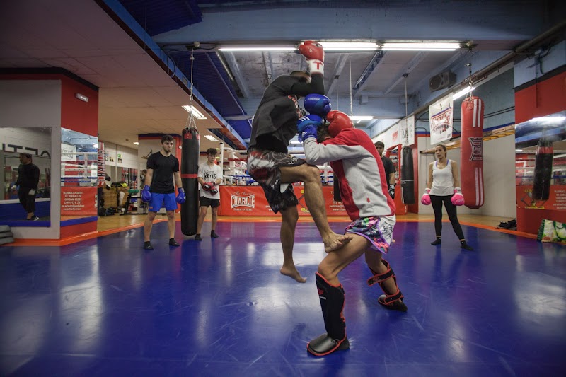 Imagen de Boxeo El Rayo – MMA, Muay-Thai, Defensa Personal